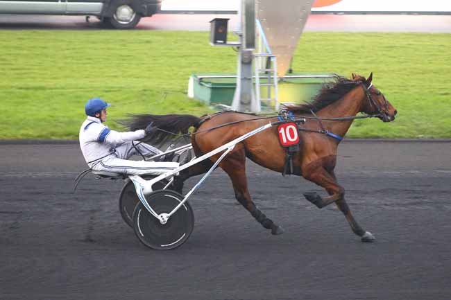 Photo d'arrivée de la course pmu PRIX DE LUXE à PARIS-VINCENNES le Dimanche 17 décembre 2017