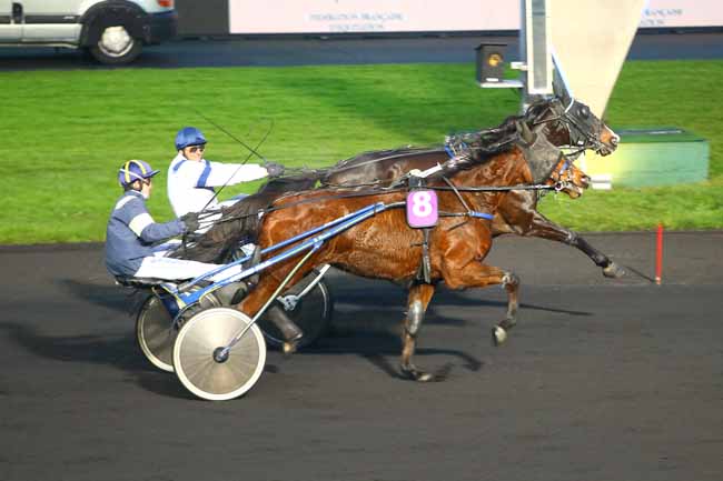Photo d'arrivée de la course pmu PRIX DE LA FEDERATION FRANCAISE D'EQUITATION à PARIS-VINCENNES le Dimanche 17 décembre 2017