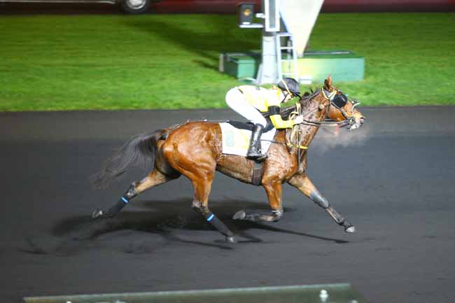 Photo d'arrivée de la course pmu PRIX DE LIMEIL à PARIS-VINCENNES le Dimanche 17 décembre 2017