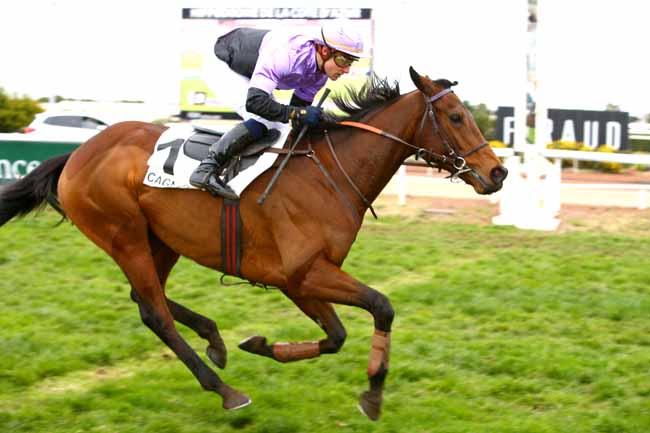 Photo d'arrivée de la course pmu PRIX DU BREIL à CAGNES-SUR-MER le Lundi 18 décembre 2017