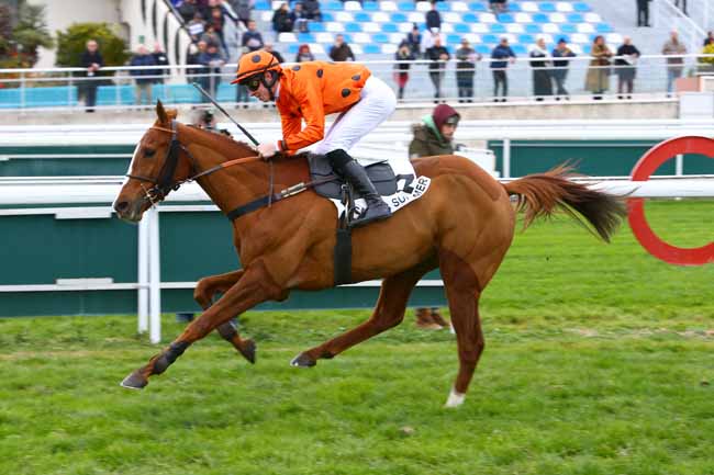 Photo d'arrivée de la course pmu PRIX DE LONDRES à CAGNES-SUR-MER le Lundi 18 décembre 2017