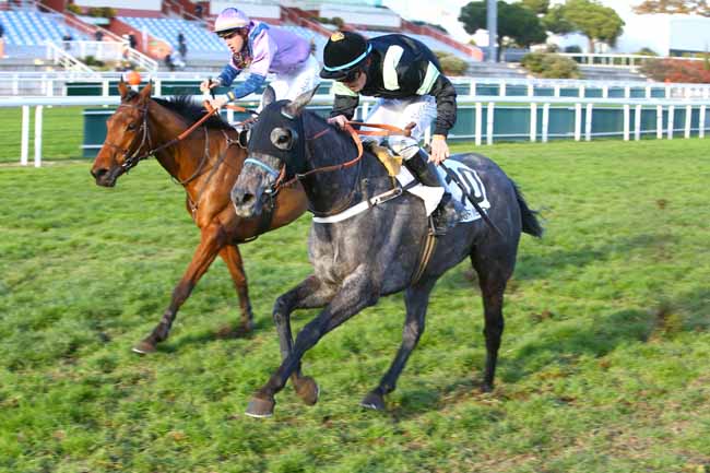 Photo d'arrivée de la course pmu PRIX DU GENERAL DU CORAIL à CAGNES-SUR-MER le Lundi 18 décembre 2017