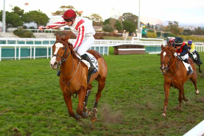 Photo d'arrivée de la course pmu PRIX JEAN-YVES BEAURAIN à CAGNES-SUR-MER le Lundi 18 décembre 2017