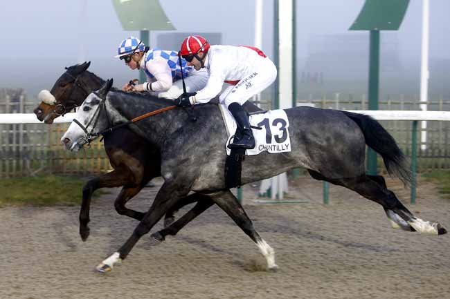 Photo d'arrivée de la course pmu PRIX DU ROND DU CHENE à CHANTILLY le Mardi 19 décembre 2017