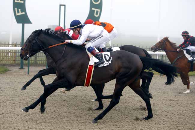 Photo d'arrivée de la course pmu PRIX DE LA ROUTE DU BERCEAU à CHANTILLY le Mardi 19 décembre 2017