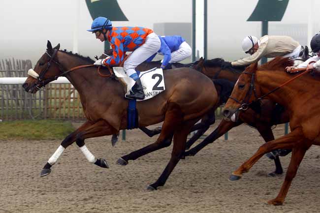 Photo d'arrivée de la course pmu PRIX DE SURVILLIERS à CHANTILLY le Mardi 19 décembre 2017
