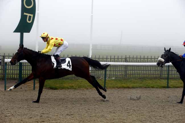 Photo d'arrivée de la course pmu PRIX ABDOS à CHANTILLY le Mardi 19 décembre 2017