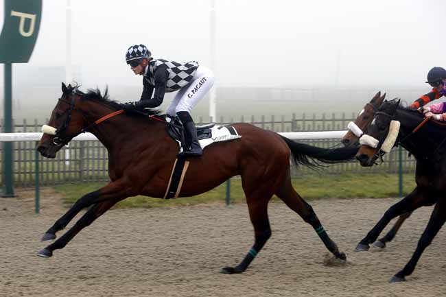 Photo d'arrivée de la course pmu PRIX DE VEMARS à CHANTILLY le Mardi 19 décembre 2017
