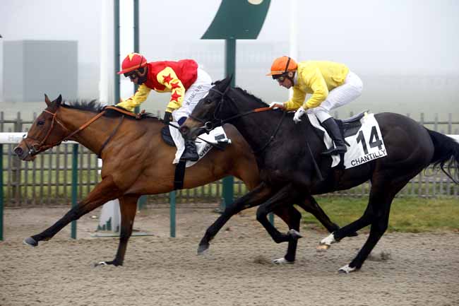 Photo d'arrivée de la course pmu PRIX DU ROND FILLE DE L'AIR à CHANTILLY le Mardi 19 décembre 2017
