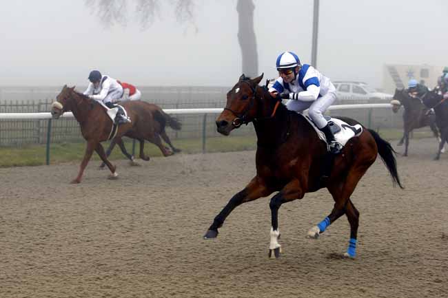 Photo d'arrivée de la course pmu PRIX DE FOSSES à CHANTILLY le Mardi 19 décembre 2017