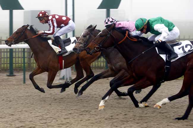 Photo d'arrivée de la course pmu PRIX DU ROND DU MANEGE à CHANTILLY le Mardi 19 décembre 2017