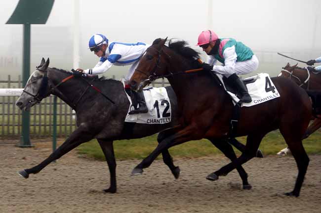 Photo d'arrivée de la course pmu PRIX DU ROND DOLLAR à CHANTILLY le Mardi 19 décembre 2017