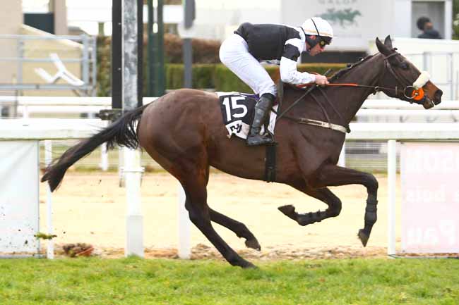 Photo d'arrivée de la course pmu PRIX DE MONEIN à PAU le Mercredi 20 décembre 2017