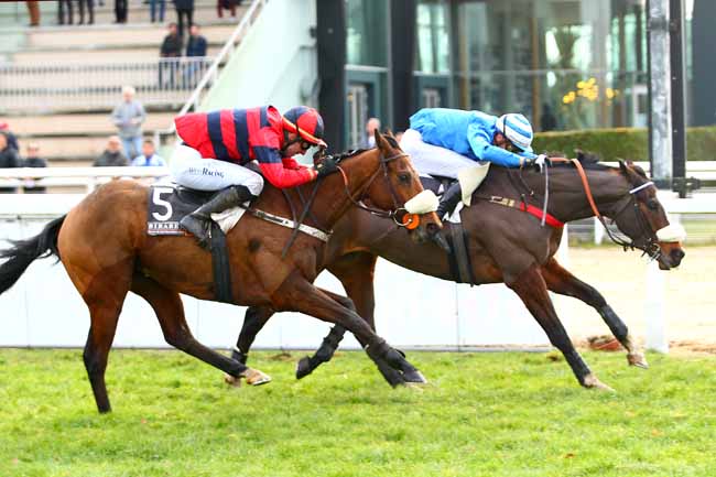 Photo d'arrivée de la course pmu PRIX GEORGES PASTRE à PAU le Mercredi 20 décembre 2017