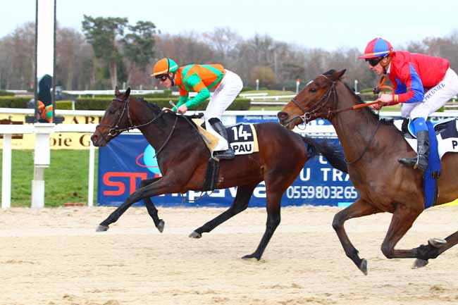 Photo d'arrivée de la course pmu PRIX DE BORDES à PAU le Mercredi 20 décembre 2017