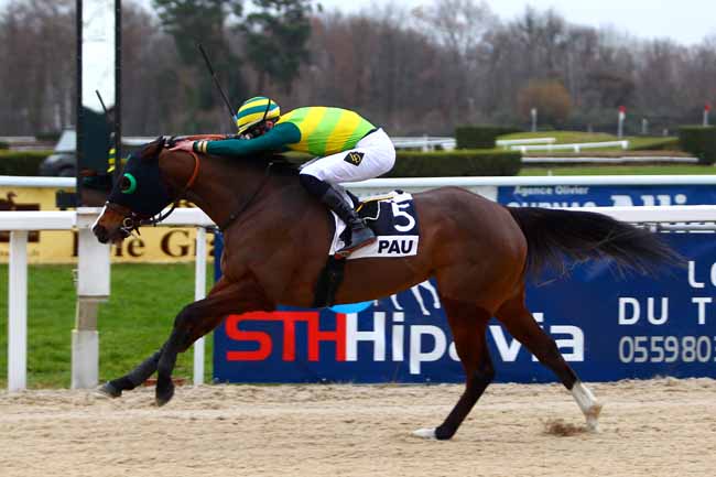 Photo d'arrivée de la course pmu PRIX DE MEILLON à PAU le Mercredi 20 décembre 2017