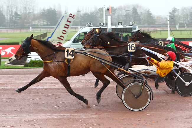 Photo d'arrivée de la course pmu PRIX DES SAPONAIRES à CABOURG le Jeudi 21 décembre 2017