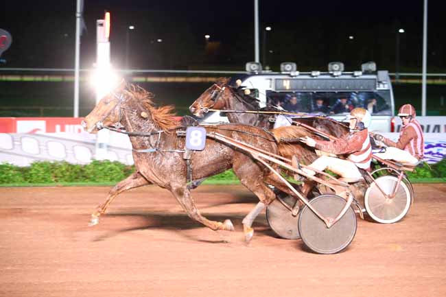 Photo d'arrivée de la course pmu PRIX DES ORTIES à CABOURG le Jeudi 21 décembre 2017