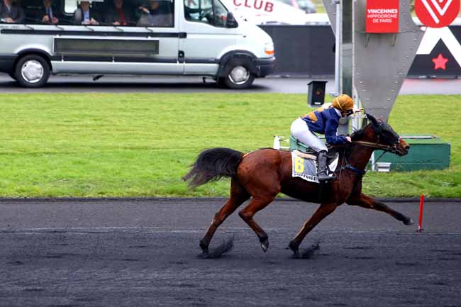 Photo d'arrivée de la course pmu PRIX DE BEAUMONT-DE-LOMAGNE à PARIS-VINCENNES le Lundi 25 décembre 2017