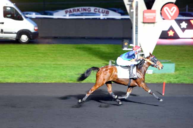 Photo d'arrivée de la course pmu PRIX DE DOMFRONT à PARIS-VINCENNES le Lundi 25 décembre 2017