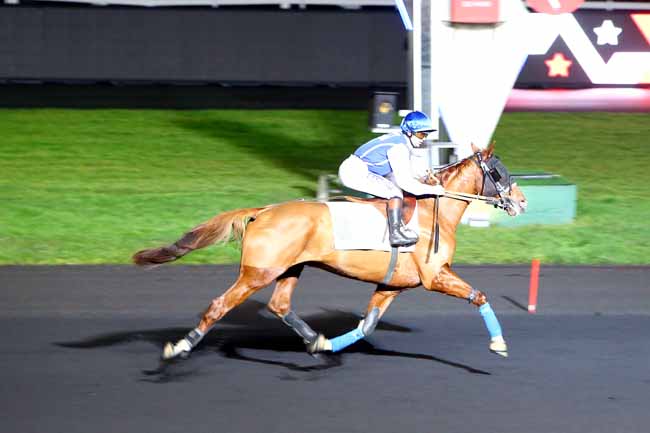 Photo d'arrivée de la course pmu PRIX DE COLLIOURE à PARIS-VINCENNES le Lundi 25 décembre 2017