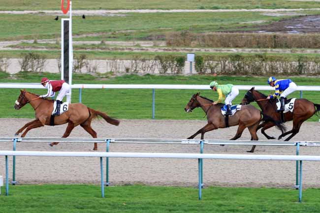 Photo d'arrivée de la course pmu PRIX DE LA PIERRE AUX FEES à DEAUVILLE le Mardi 26 décembre 2017