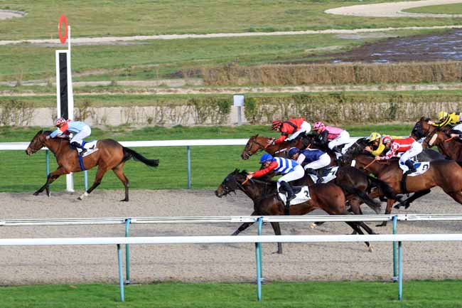 Photo d'arrivée de la course pmu PRIX DE DOUMY à DEAUVILLE le Mardi 26 décembre 2017
