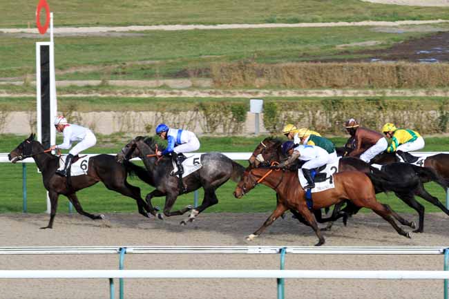 Photo d'arrivée de la course pmu PRIX DE CHEFFRETEAU à DEAUVILLE le Mardi 26 décembre 2017
