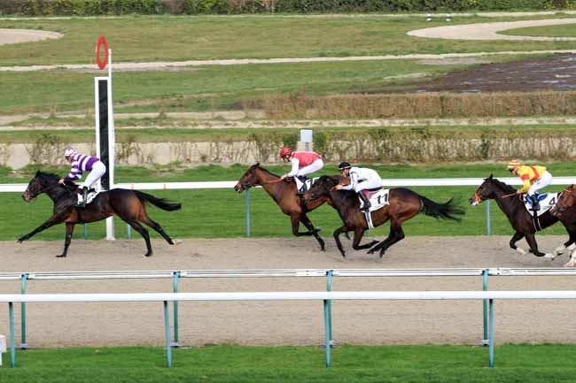 Photo d'arrivée de la course pmu PRIX DE VOLTAIRE à DEAUVILLE le Mardi 26 décembre 2017