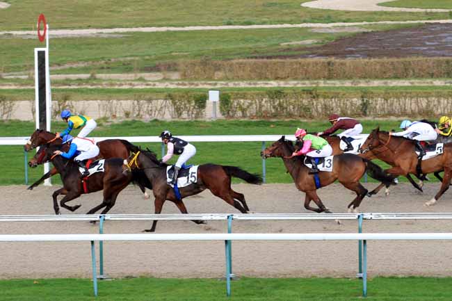 Photo d'arrivée de la course pmu PRIX DE BALME à DEAUVILLE le Mardi 26 décembre 2017