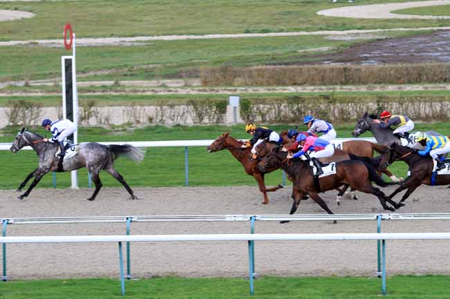 Photo d'arrivée de la course pmu PRIX DU CHATEAU DE BENERVILLE à DEAUVILLE le Mardi 26 décembre 2017