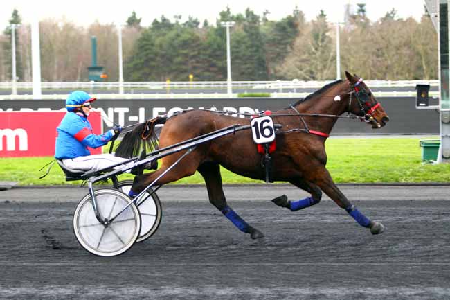 Photo d'arrivée de la course pmu PRIX DE SAINT-LEONARD à PARIS-VINCENNES le Mardi 26 décembre 2017