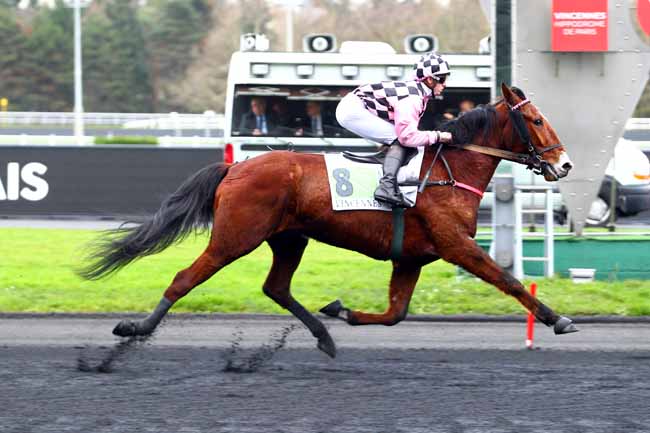 Photo d'arrivée de la course pmu PRIX DE GAMBAIS à PARIS-VINCENNES le Mardi 26 décembre 2017