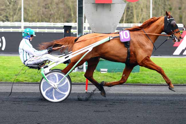 Photo d'arrivée de la course pmu PRIX DE BRASSAC-LES-MINES (GR B) à PARIS-VINCENNES le Mardi 26 décembre 2017