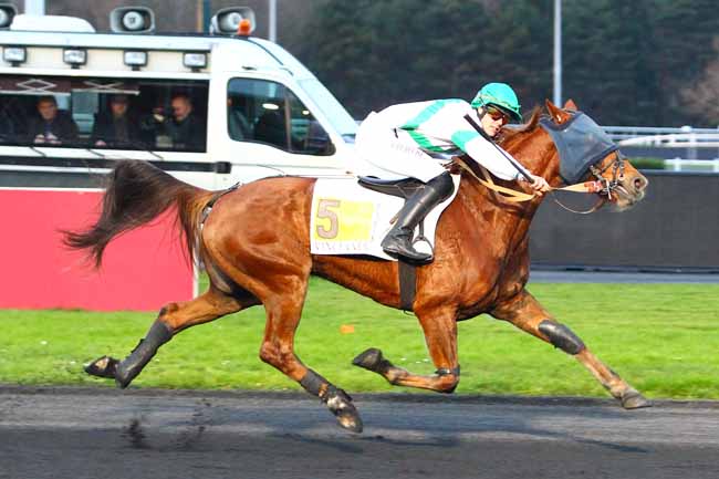 Photo d'arrivée de la course pmu PRIX DE GRIGNAN à PARIS-VINCENNES le Mardi 26 décembre 2017