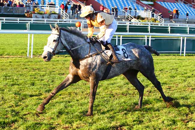 Photo d'arrivée de la course pmu PRIX DE LA BOURGOGNE à CAGNES-SUR-MER le Mercredi 27 décembre 2017