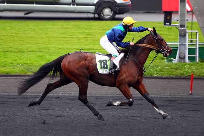 Photo d'arrivée de la course pmu PRIX YVONNICK BODIN à PARIS-VINCENNES le Samedi 30 décembre 2017