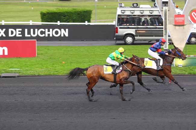 Photo d'arrivée de la course pmu PRIX DE LUCHON à PARIS-VINCENNES le Mardi 2 janvier 2018