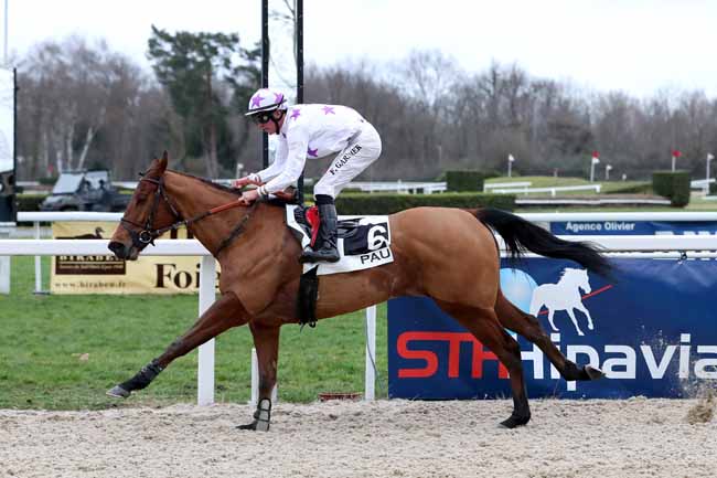 Photo d'arrivée de la course pmu PRIX DU CONSEIL GENERAL DES PYRENEES-ATLANTIQUES à PAU le Mercredi 3 janvier 2018