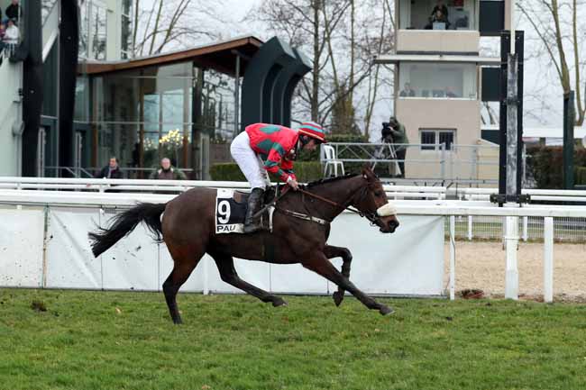 Photo d'arrivée de la course pmu PRIX JOSEPH BIRABEN à PAU le Mercredi 3 janvier 2018