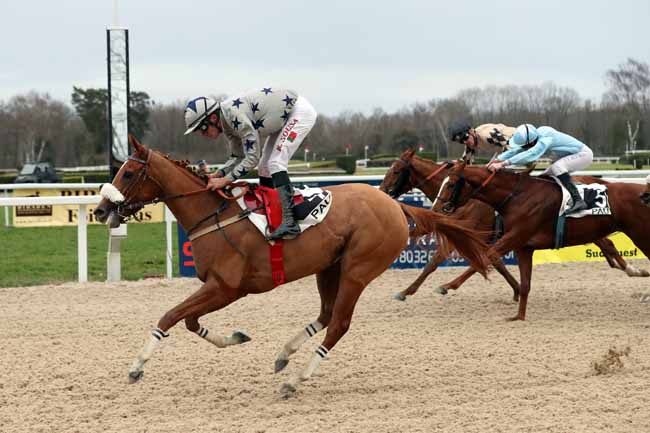 Photo d'arrivée de la course pmu PRIX D'ACCOUS à PAU le Mercredi 3 janvier 2018