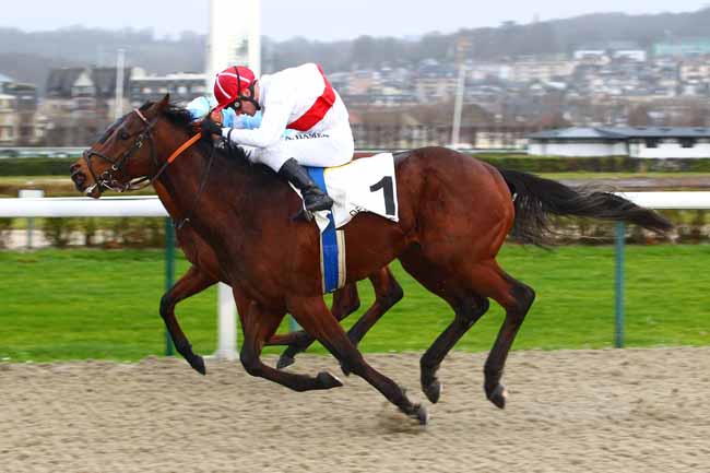 Photo d'arrivée de la course pmu PRIX DE GIBERVILLE à DEAUVILLE le Jeudi 4 janvier 2018