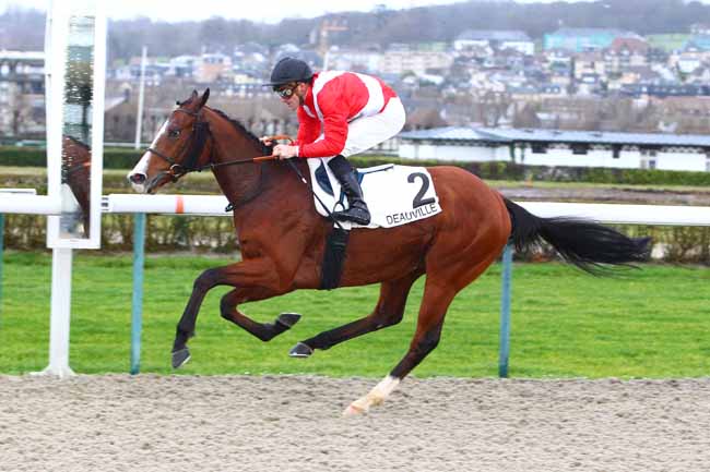 Photo d'arrivée de la course pmu PRIX DE FOLLEVILLE à DEAUVILLE le Jeudi 4 janvier 2018