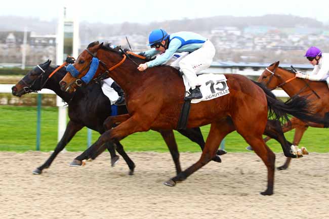 Photo d'arrivée de la course pmu PRIX DES MANOIRS à DEAUVILLE le Jeudi 4 janvier 2018