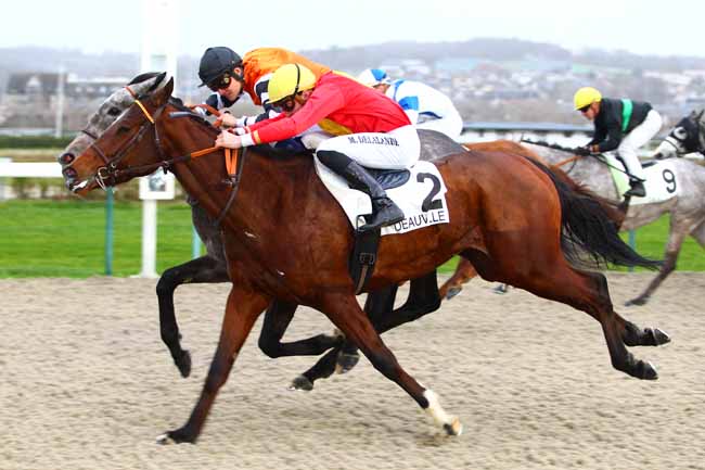 Photo d'arrivée de la course pmu PRIX DES COTTAGES à DEAUVILLE le Jeudi 4 janvier 2018
