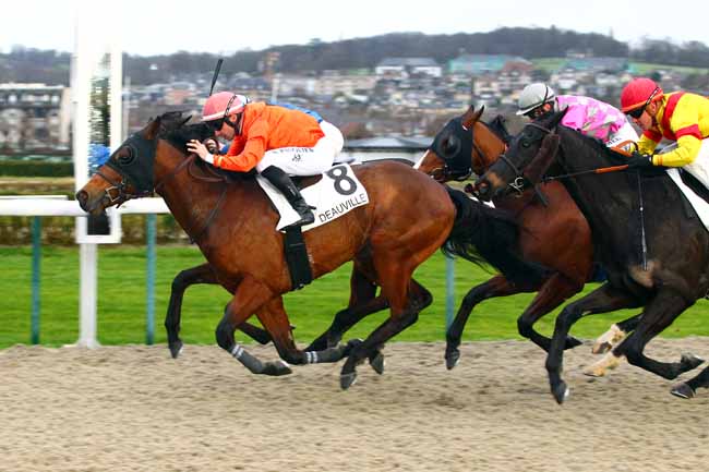Photo d'arrivée de la course pmu PRIX DE FERRIERE-AU-DOYEN à DEAUVILLE MIDI le Jeudi 4 janvier 2018