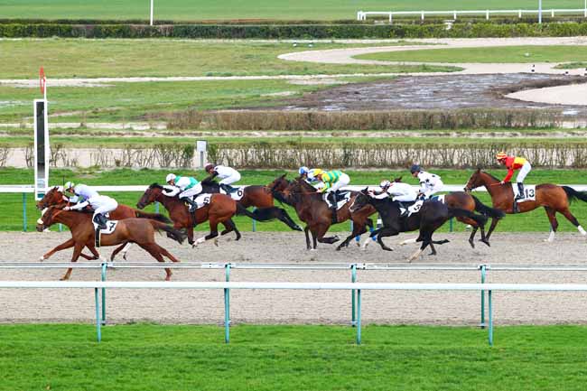 Photo d'arrivée de la course pmu PRIX DE LA BEAUVOISINIERE à DEAUVILLE le Vendredi 5 janvier 2018