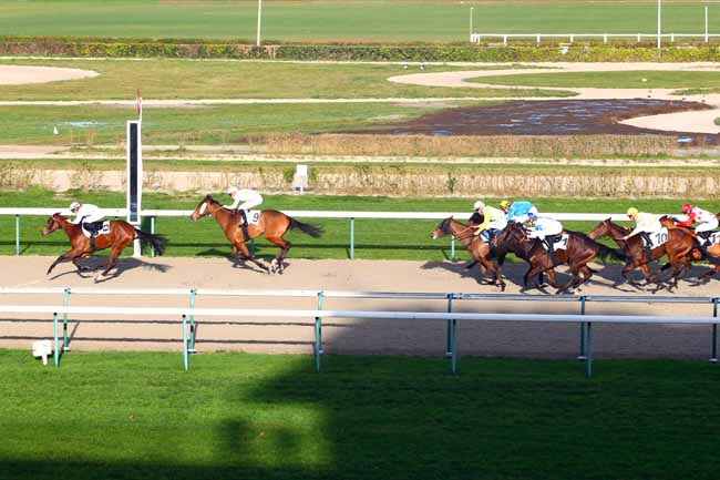 Photo d'arrivée de la course pmu PRIX DU PHARE à DEAUVILLE le Vendredi 5 janvier 2018