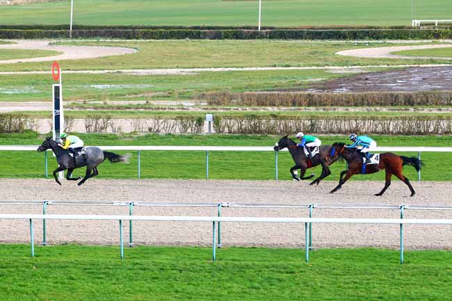 Photo d'arrivée de la course pmu PRIX DU HOULBEC à DEAUVILLE MIDI le Vendredi 5 janvier 2018