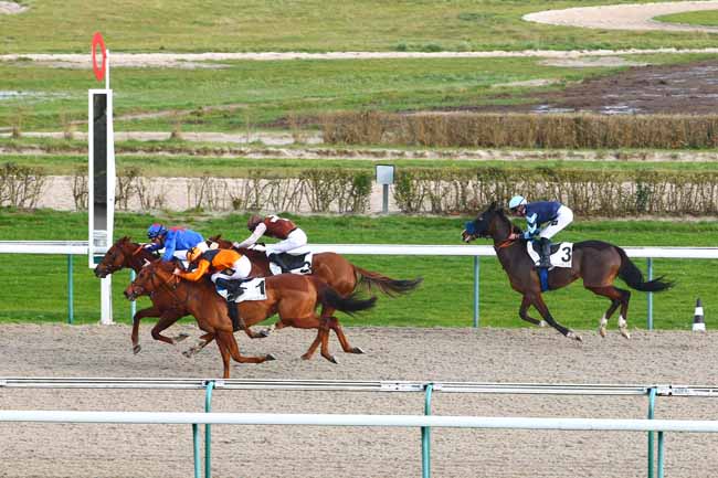 Photo d'arrivée de la course pmu PRIX DU BOCAGE VIROIS à DEAUVILLE MIDI le Vendredi 5 janvier 2018